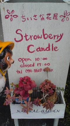Strowberry Candle_b0151497_14434562.jpg