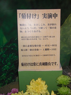 c0125501_1455612.jpg