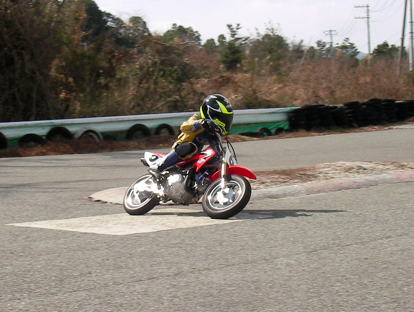 a0164504_10542778.jpg