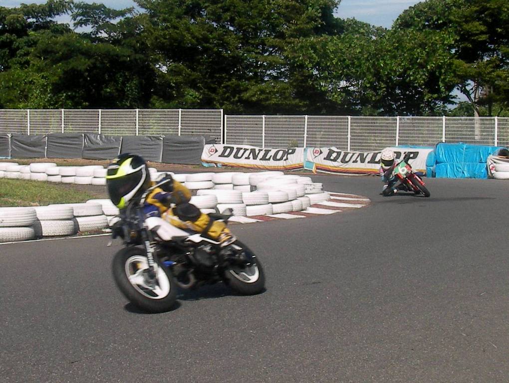 a0164504_1611926.jpg