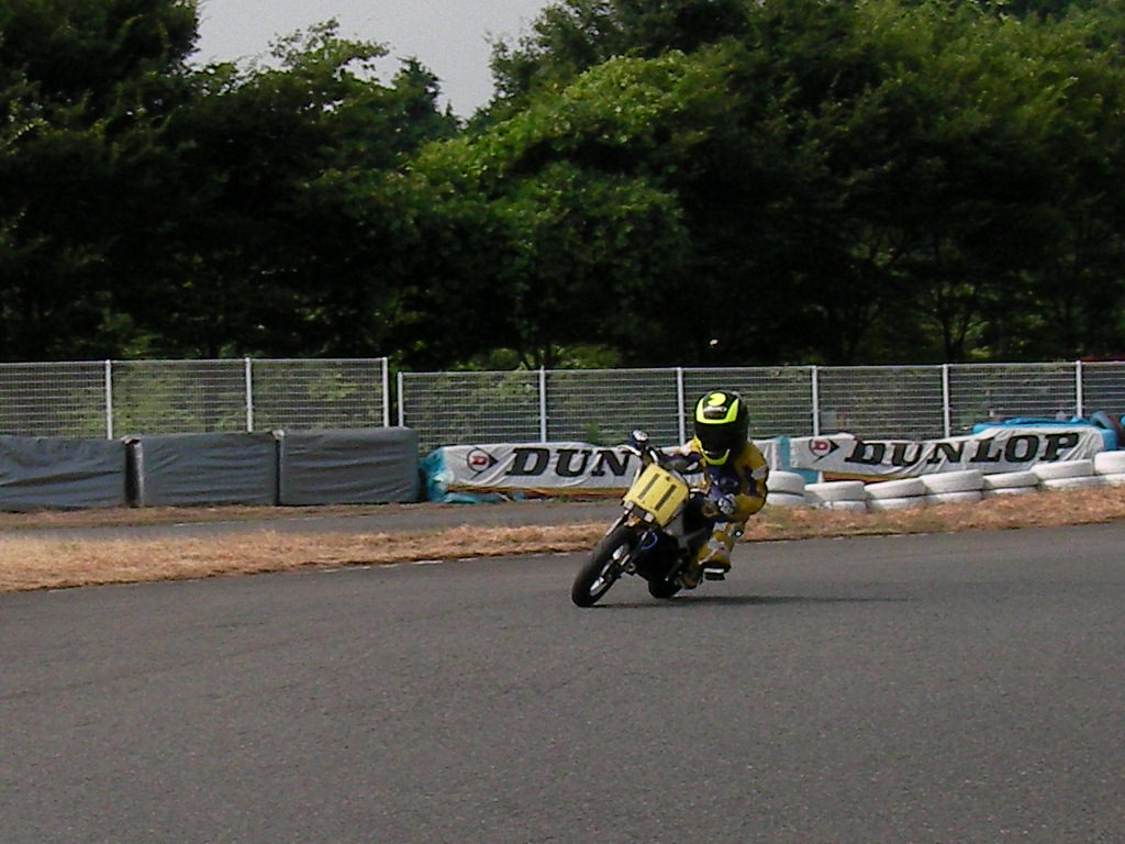 a0164504_17504881.jpg