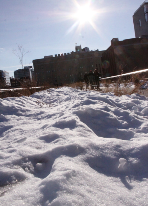 ニューヨークの空中公園、ハイラインも雪景色_b0007805_0282815.jpg