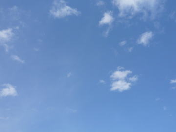 e0070606_4162816.jpg