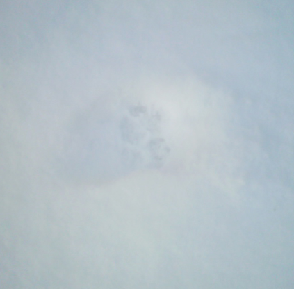 c0145608_14375125.jpg