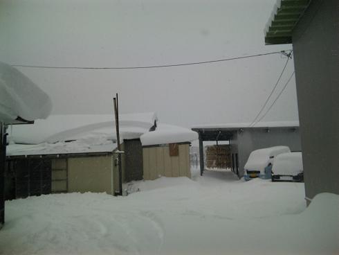 大雪です!_d0099708_19102484.jpg