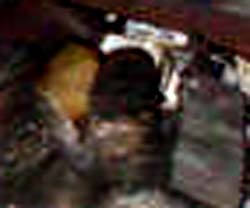 e0103408_16302854.jpg