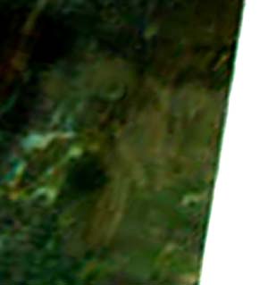 e0103408_1631092.jpg