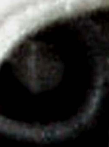 e0103408_17265530.jpg