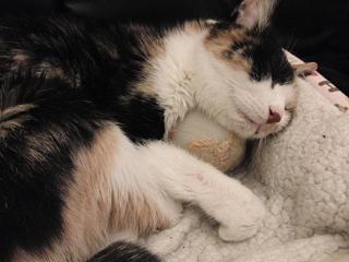 c0201113_23481010.jpg