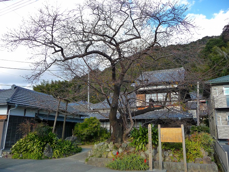f0182513_2350099.jpg