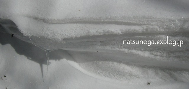 b0141916_2119657.jpg