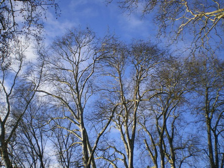 c0124619_5343413.jpg
