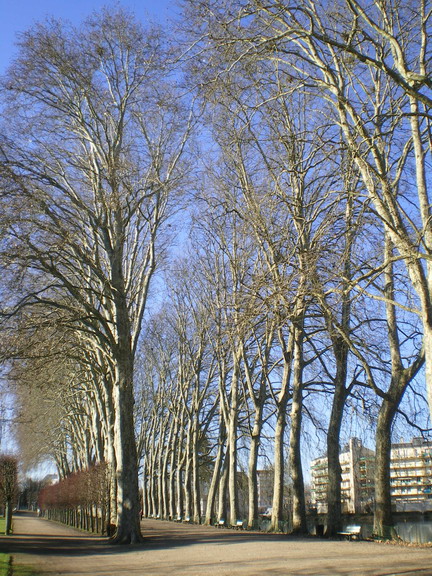 c0124619_5383997.jpg