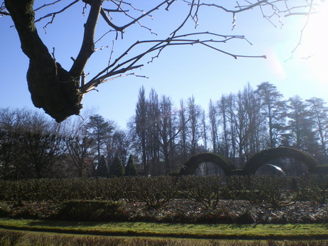 c0124619_539110.jpg