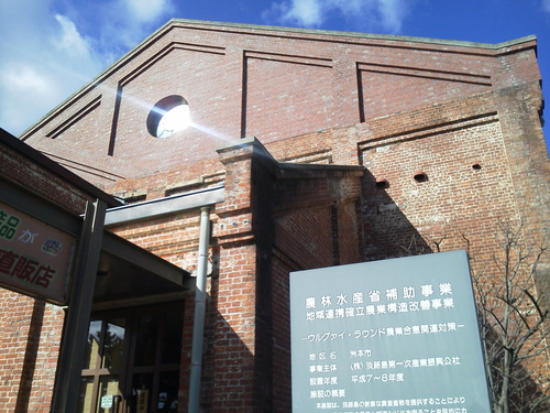 e0105019_04725.jpg