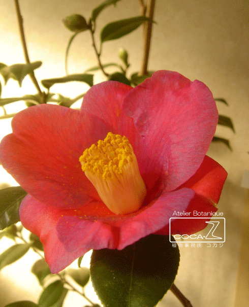 b0160123_23472417.gif