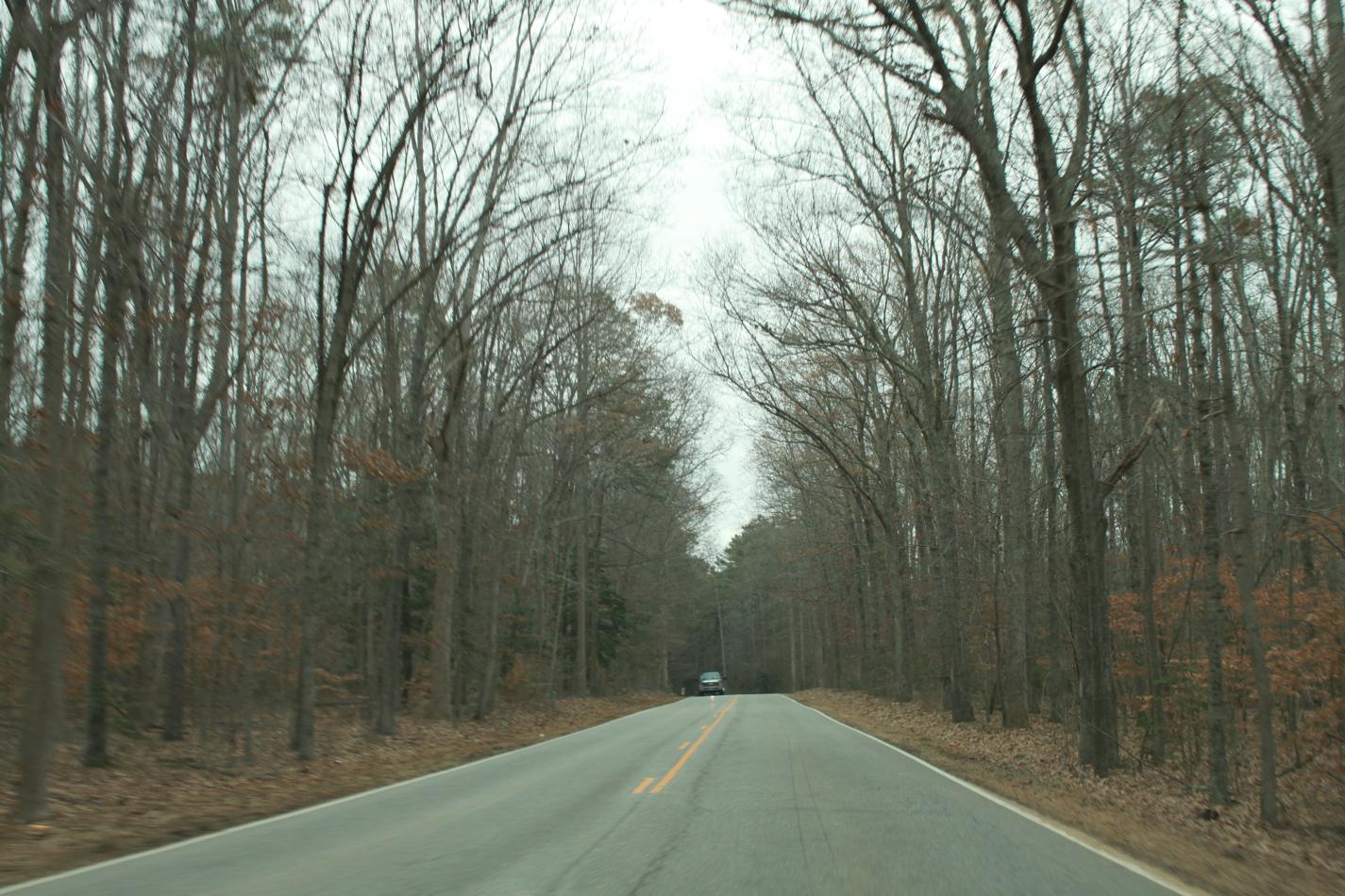 b0183923_7501538.jpg