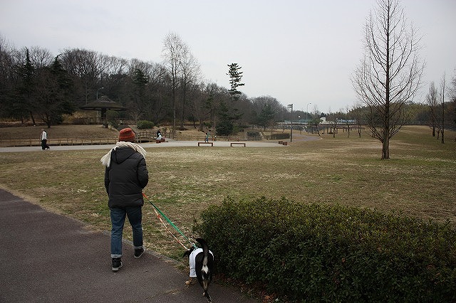e0162524_1231727.jpg
