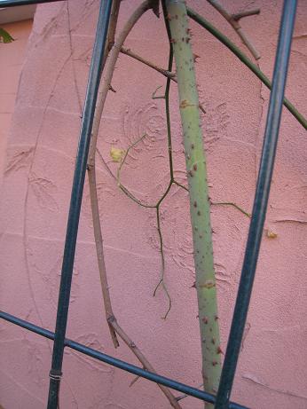 f0166824_17134279.jpg
