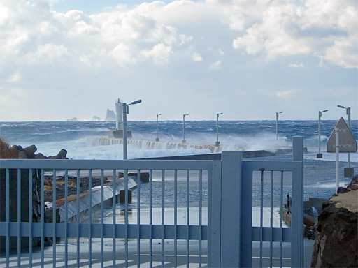 a0119827_16565497.jpg