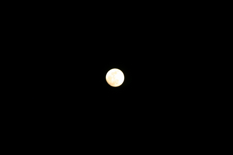a0057828_20581543.jpg