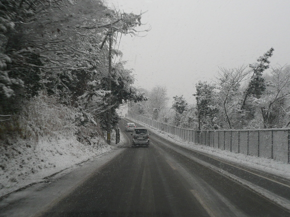 c0009528_8271227.jpg
