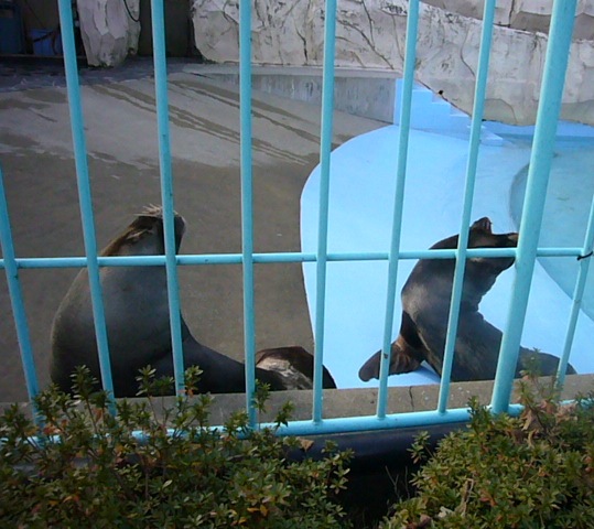 e0133535_21553.jpg