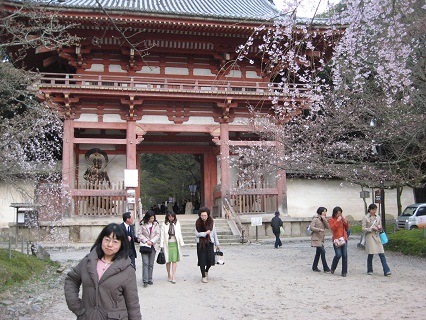 京都、醍醐寺の桜_f0234936_9261566.jpg