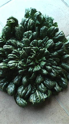 a0116439_21172233.jpg