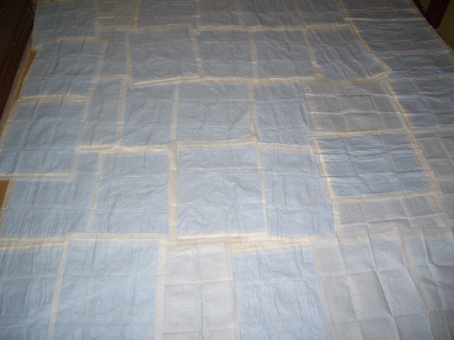 a0198841_2051614.jpg