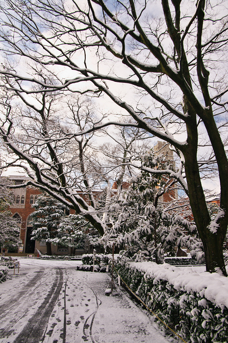 雪の同志社大学_f0155048_2156278.jpg