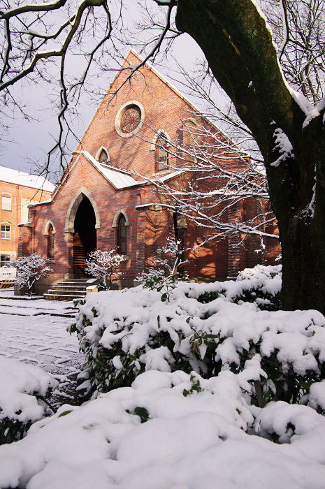 雪の同志社大学_f0155048_21562932.jpg