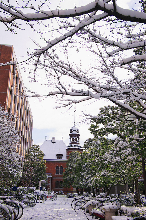 雪の同志社大学_f0155048_21564387.jpg