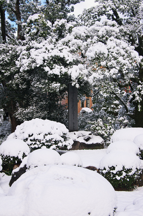 雪の同志社大学_f0155048_2158563.jpg