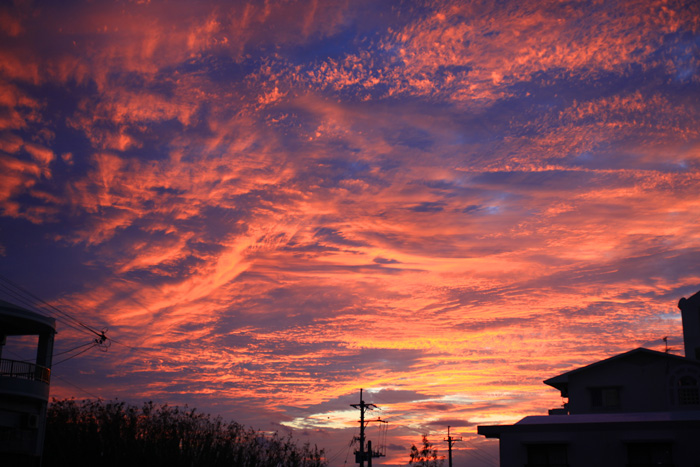 夕方、雲が焼けました_b0049152_18193245.jpg