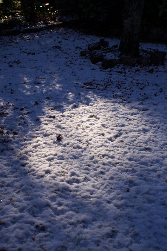 雪の山寺にて_f0072758_20384085.jpg