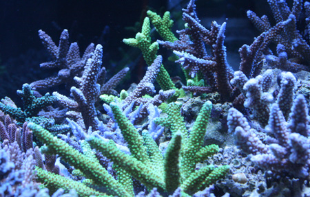 a0162261_18283690.jpg