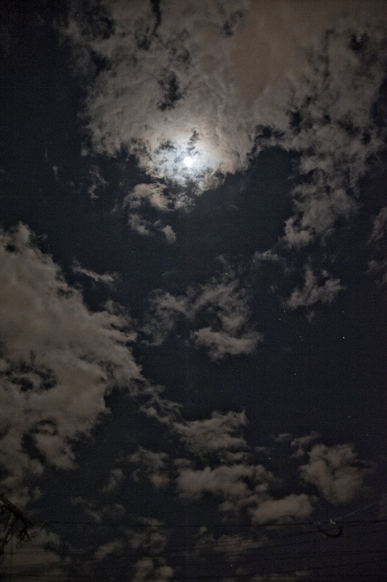 手持ちで夜空撮影_c0028861_21275924.jpg