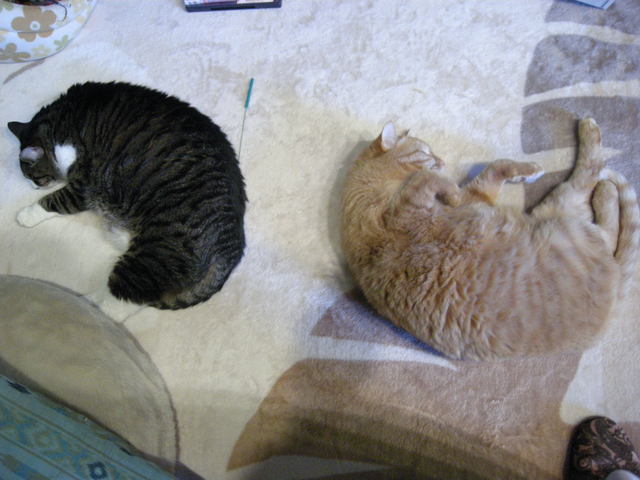 c0080861_741347.jpg