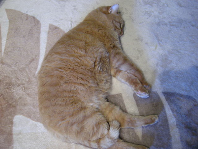 c0080861_7413733.jpg