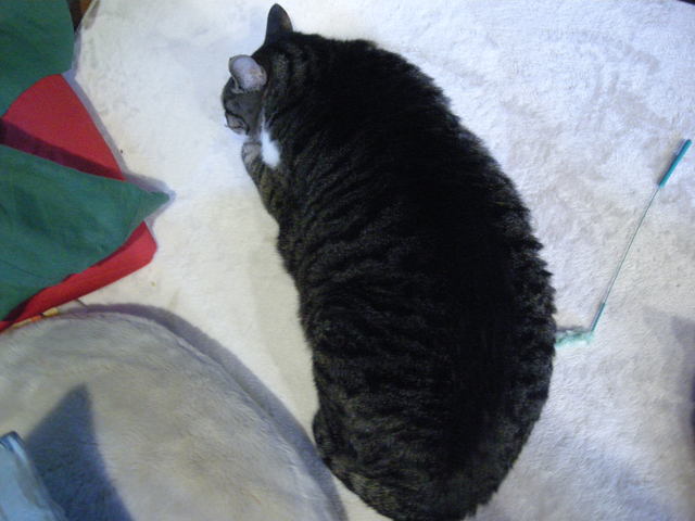 c0080861_741593.jpg
