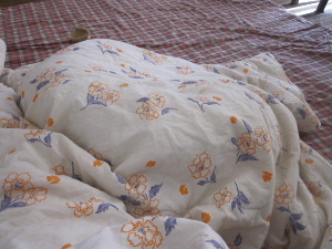 f0005081_22472123.jpg