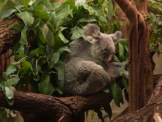 Zoo Duisburg_f0169885_66436.jpg