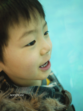a0150193_1515969.gif