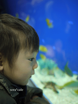 a0150193_1543966.gif