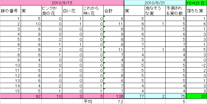 綿花栽培日記　Part27_f0228897_15594893.jpg