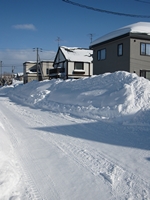 d0076603_5472222.jpg