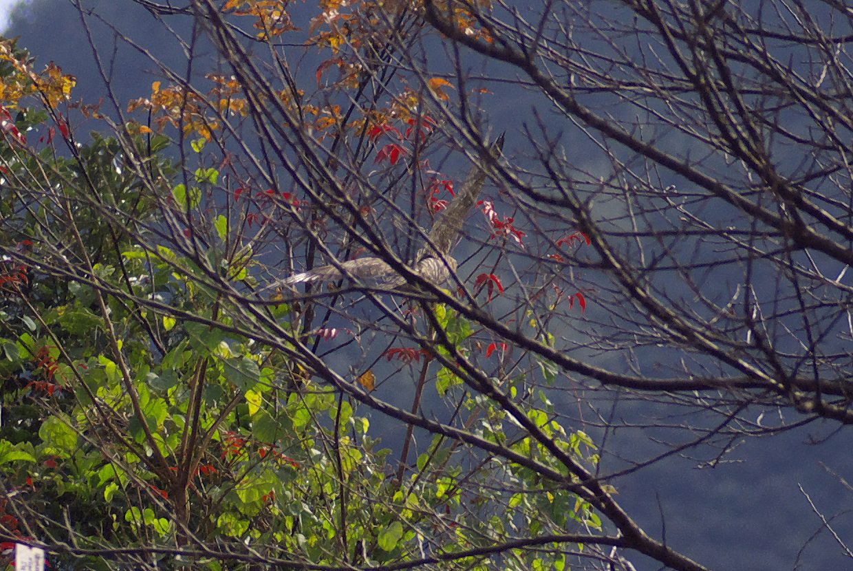 b0174905_7281876.jpg