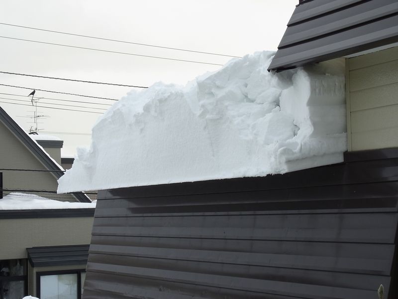 屋根からの落雪_c0025115_2147985.jpg