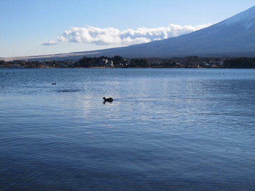 I　♡  富士山。_b0157216_2201110.jpg